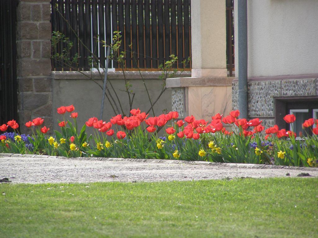 Pension Harmonia Miercurea Ciuc Exterior photo